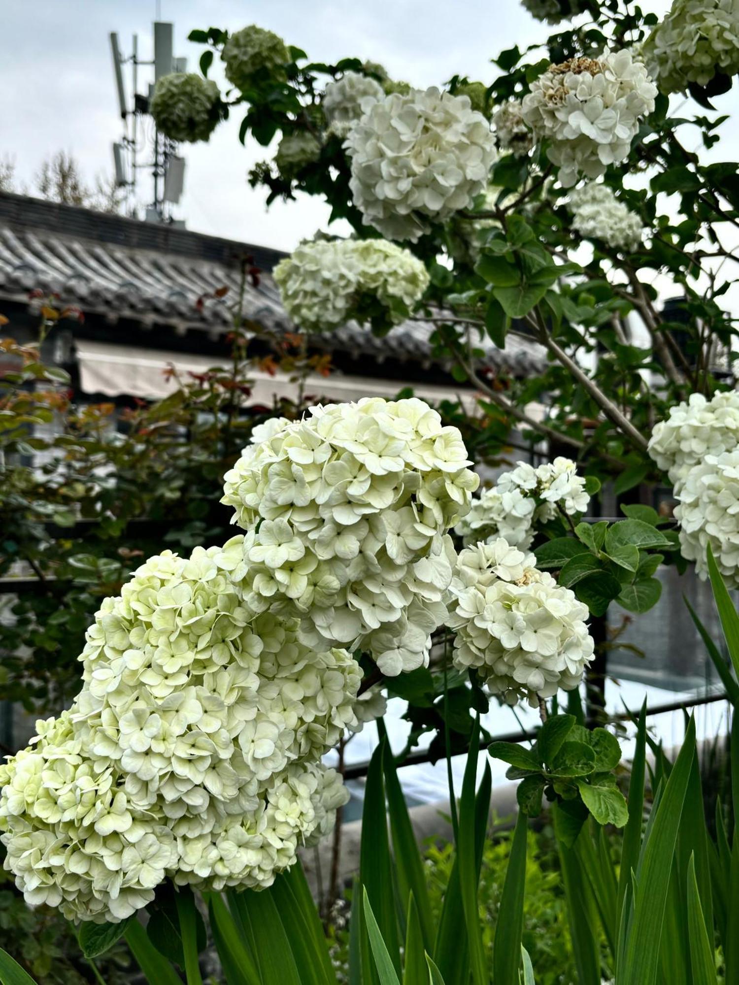 Honglu Garden Hotel Xi'An Bell And Drum Tower Huimin Street Store Экстерьер фото